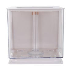 Vivier A Poisson Aquarium Pour