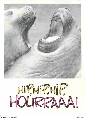 Carte postale animaux - animaux,