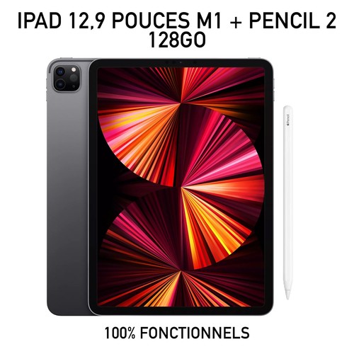 Ipad pro 128go gris - 12,9,