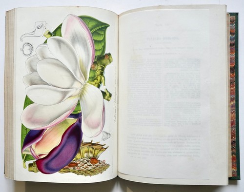 Lemaire verschaffelt - lemaire,