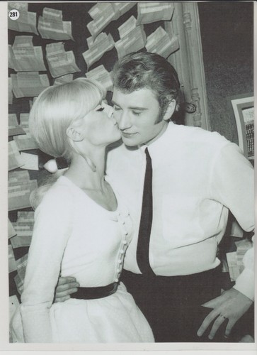 Johnny hallyday n 281 - hallyday, n°