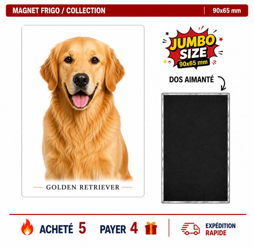 Magnet golden retriever - magnet,