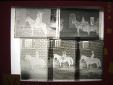 Lot 5 Photo Photographie