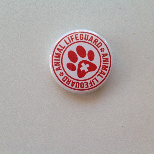 Lifeguard usa animal - lifeguard, "animal