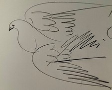 Curiosa sur livre, un dessin