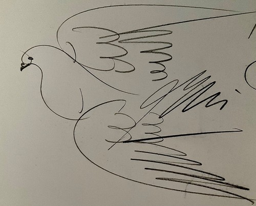 Curiosa sur livre dessin - curiosa, livre,