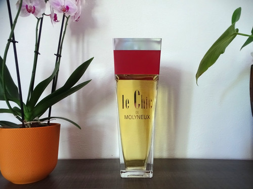 Factice géant eau toilette - factice, de