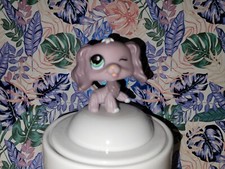 Petshop  Chien Cocker , 1373