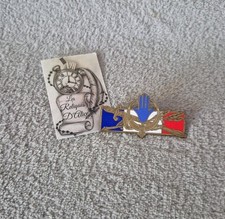 Insigne / pucelle AFN guerre