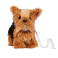 Notre génération de chiot Yorkshire Terrier posable
