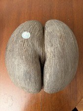 Grande coco fesse De La