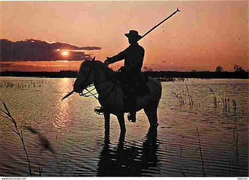 Carte postale animaux - carte,