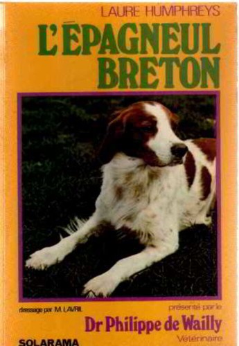 Epagneul breton wailly - |,