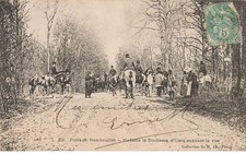 Chasse à courre - Forêt de