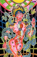 UV Backdrop Lumière Noire