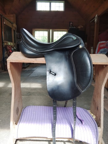 Prestige lucky idol dressage - idol,