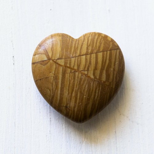 Coeur bois fossilisé - bois,