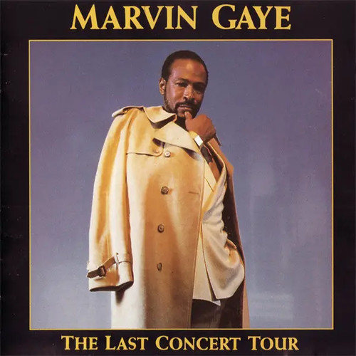 Marvin gaye the last - the, concert