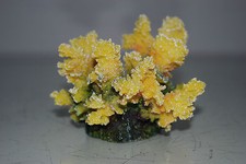 Détaillé Aquarium Corail