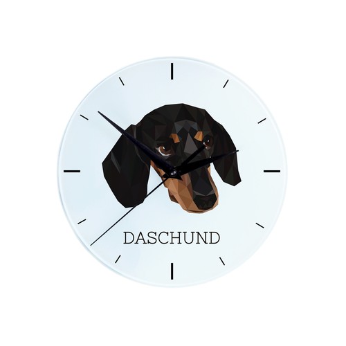 Teckel poil ras - ras, horloge