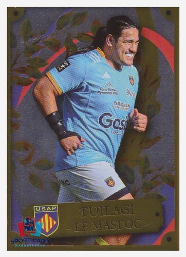 Panini rugby top 2025 2026 - panini, 14