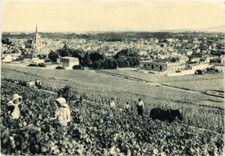 CPA Champagne Pommery & Greno