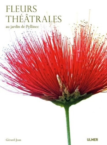 Fleurs théâtrales jardin - fleurs, au
