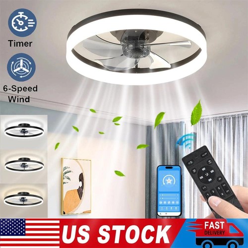 Modern fan lights flush - 20",