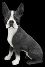 Figurine De Chien - Boston Terrier Réaliste - Chiot Mâle Éleveur - H 39 Cm