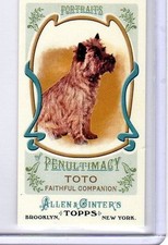 2011 ALLEN & GINTER'S MINI PORTRAITS PENULTIMACY TOTO