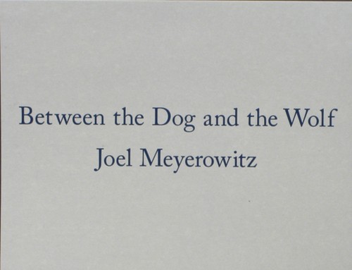 Joel meyerowitz between the - joel,