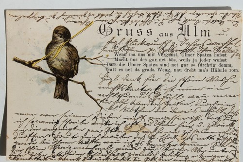 33924 litho salutation - litho,