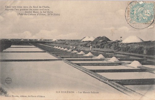 Ile oleron 102858 - 17,