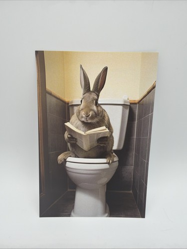 Affiche humour lapin toilettes - humour,
