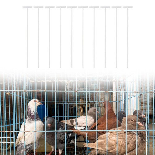 10pcs pigeon birds entrance - 10pcs, t