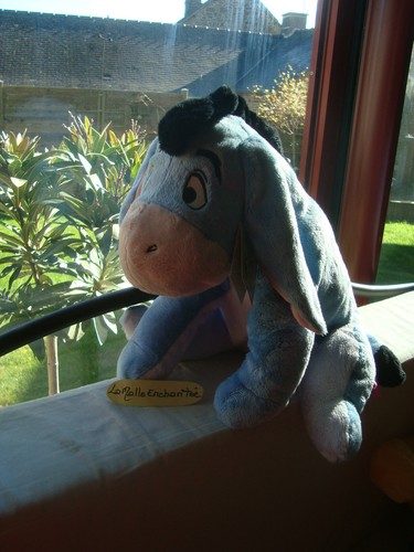 Peluche doudou bourriquet - peluche,