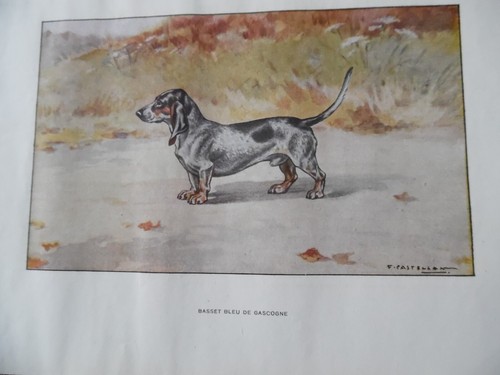 Gravures chien de chasse - gravures,
