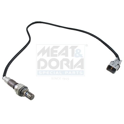 Meat doria sonde lambda - &,