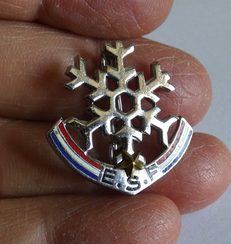 Etoile insigne flocon neige - 1,