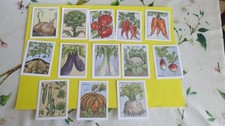 Les légumes lot 13 images écolier éditions éducatives série B (5,5cm/7 cm)