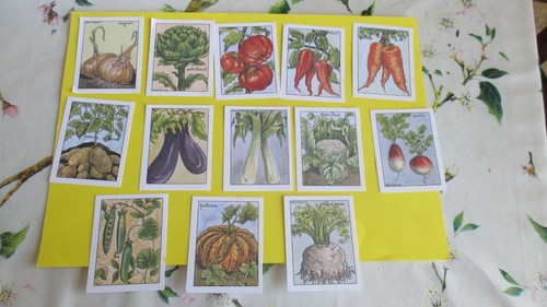 Les légumes lot images - légumes,