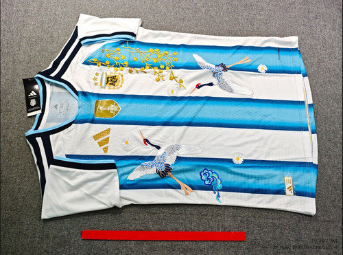 Maillot argentine 2026 concept - maillot,