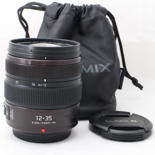 Panasonic lumix vario - x,