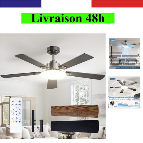 Ventilateur plafond passky - ventilateur,