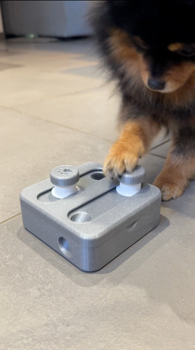 Jouet intéractif pour - jouet, chien