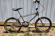 1984 Diamondback Super Streak