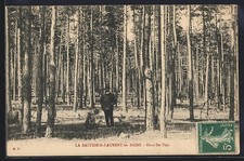 CPA La Bastide-Saint-Laurent-les-Bains, Dans les Pins 1911 