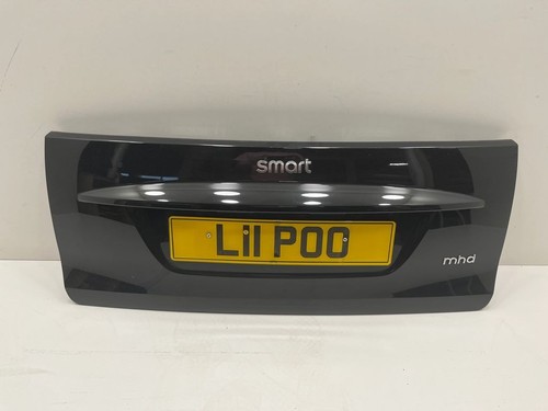 Smart fortwo 2010 hayon - 2010,