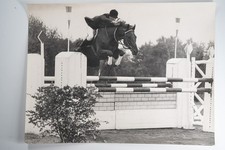 PHOTO Argentique	France	Equitation cheval saut d'obstacles		1970 30X40cm