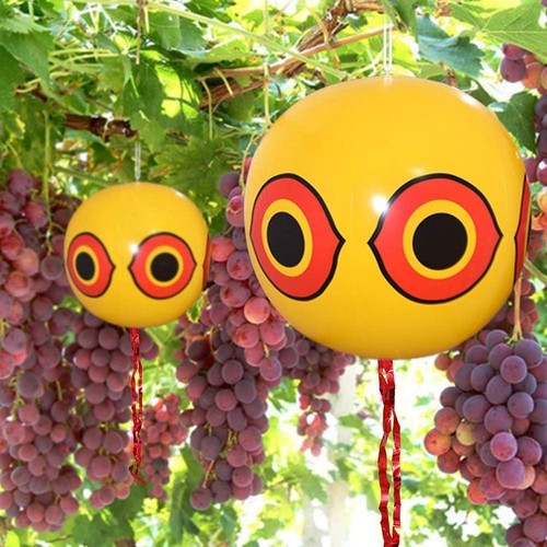 Ensemble ballons - de, 2